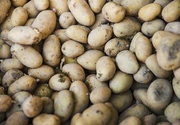 Vladimir Sánchez, doctor en Química, alerta sobre el riesgo de comer patatas con brotes: «Puede afectar al sistema nervioso»
