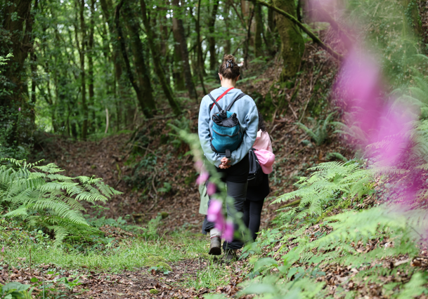 Fuera del sofá: terapia de salud mental arraigada en la naturaleza