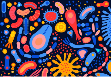 Doctor Mora, psiquiatra, explica por qué una microbiota desequilibrada influye en tu salud mental: «Modula el sistema inmune»