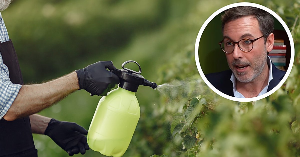 Pesticides: Risks, Health Effects & Parkinson’s Disease Link