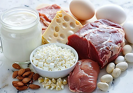 Muthanna Abusaada, experto en longevidad: «Consumimos más proteína que la que necesitamos»