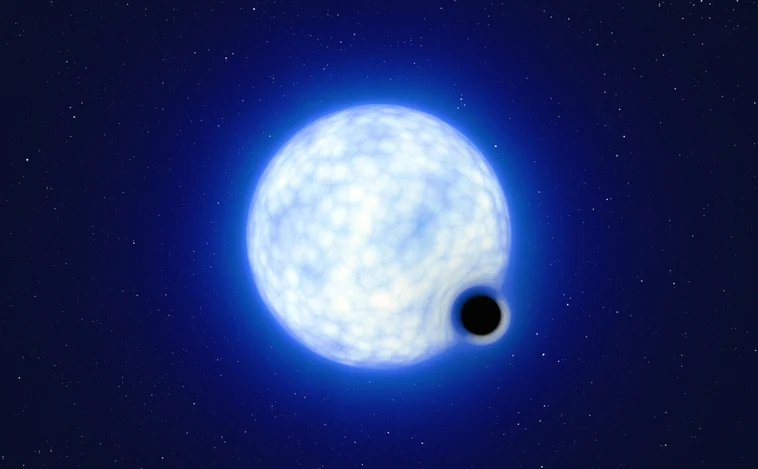 La impresión del artista muestra cómo se vería el sistema binario VFTS 243 si lo estuviéramos observando de cerca.  Los tamaños de los dos componentes  no están a escala: en realidad, la estrella azul es unas 200.000 veces más grande que el agujero negro. La inclinación del sistema hace que, al mirarlo desde la Tierra, no podamos observar el agujero negro eclipsando a la estrella