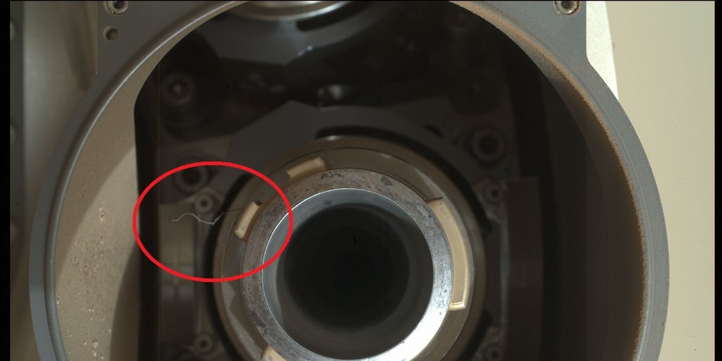 Something similar to a hair appears in one of the sample collection instruments of the NASA rover on Mars