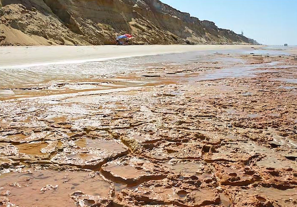Vista general de la superficie con las pisadas de los homínidos en la Playa de Matalascañas (Huelva)