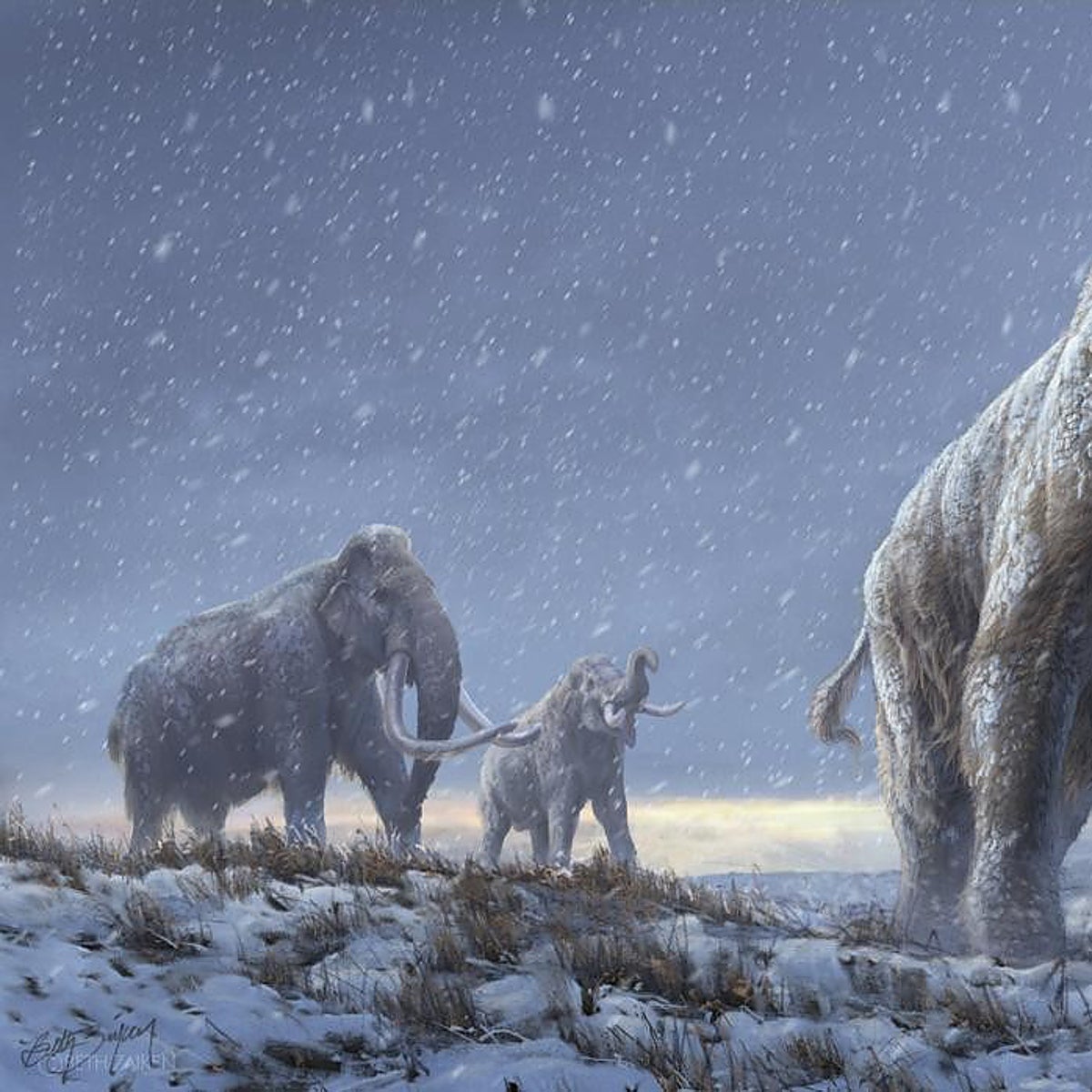 Desextinción: ¿y si resucitamos un mamut y, después, un dinosaurio?