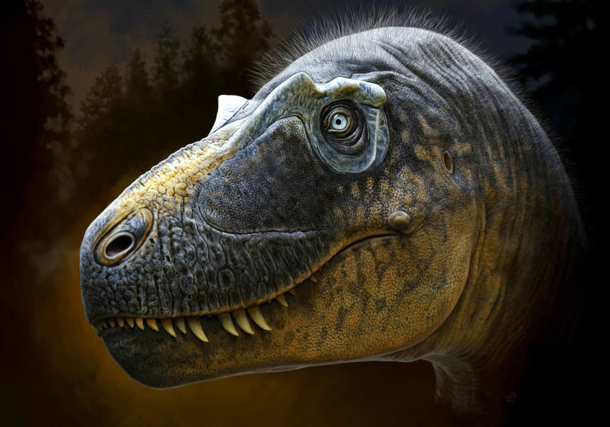 Un nuevo dinosaurio con cuernos sobre los ojos, el eslabón perdido del T.  rex