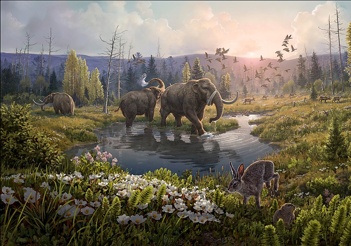 Reconstrucción de la Formación Kap København hace dos millones de años