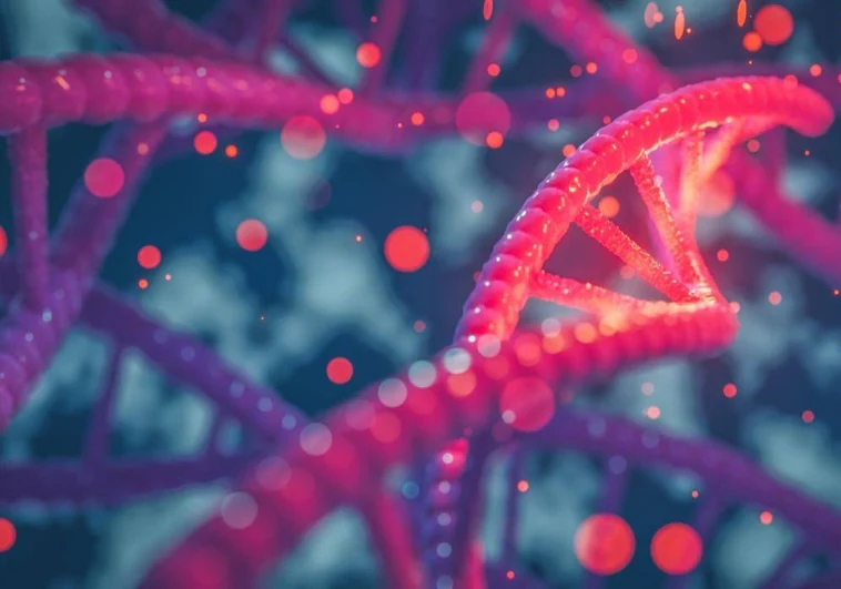 Hallan 155 genes en nuestro ADN que surgieron «de la nada»