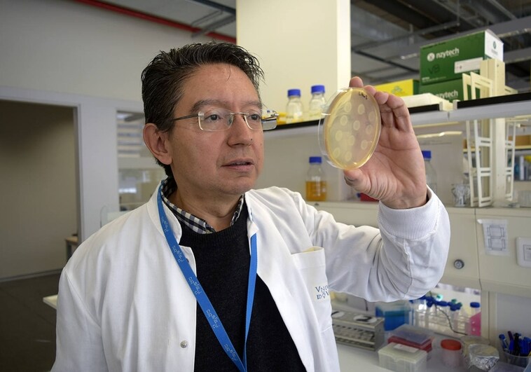 Científicos españoles modifican genéticamente bacterias para enseñarlas a 'leer' morse