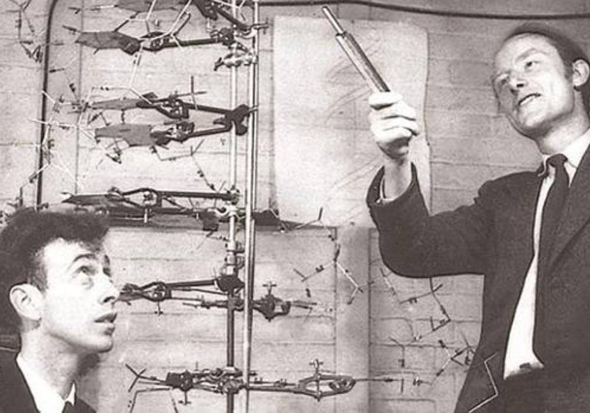 Watson y Crick, descubridores del modelo de la doble hélice de ADN