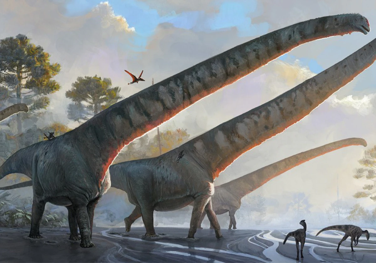 Un nuevo dinosaurio hallado en China, el animal con el cuello más largo que  haya pisado la Tierra