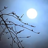 Calendario astronómico de esta primavera: dos lluvias de estrellas, dos eclipses y tres lunas llenas