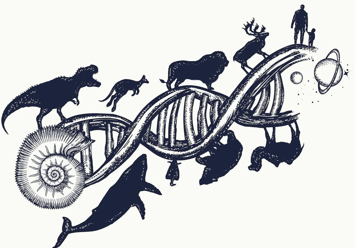 Todos los animales tienen un pasado común que se puede rastrear en el ADN
