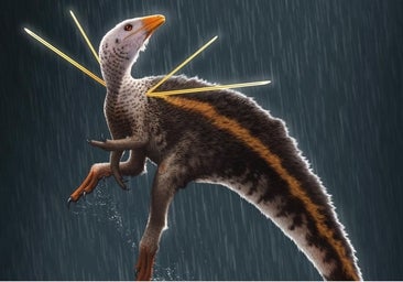 El 'señor de las lanzas' regresa a Brasil