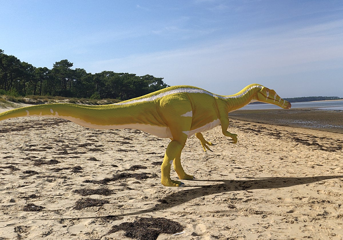 Protathlitis cinctorrensis, cerca de las zonas costeras donde vivía