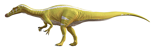 El dinosaurio 'Campeón'