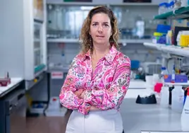 Guillermina López-Bendito , neurocientífica: «Hemos logrado generar nuevas neuronas y ahora el reto es que funcionen»