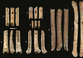 Hallan en Israel siete 'flautas' prehistóricas que datan de hace 12.000 años