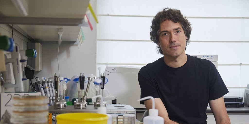 The Spanish laboratory that programs bacteria as if they were computers