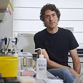 El laboratorio español que programa bacterias como si fuesen ordenadores