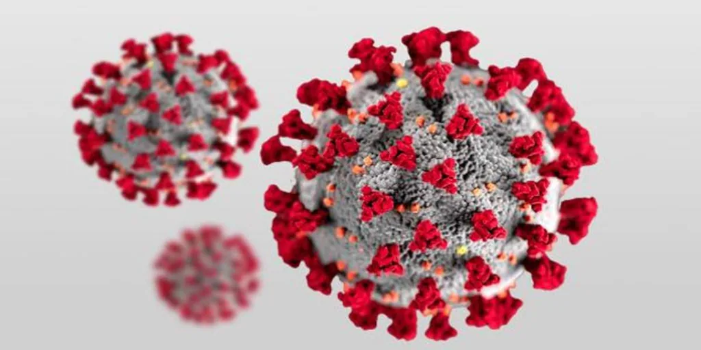 Scientists create a ‘DNA origami’ to control the assembly of viruses
