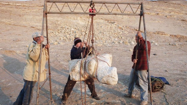 Los investigadores preparan uno de los huesos de Perucetus colossus, hallados en el sur de Perú, para su transporte