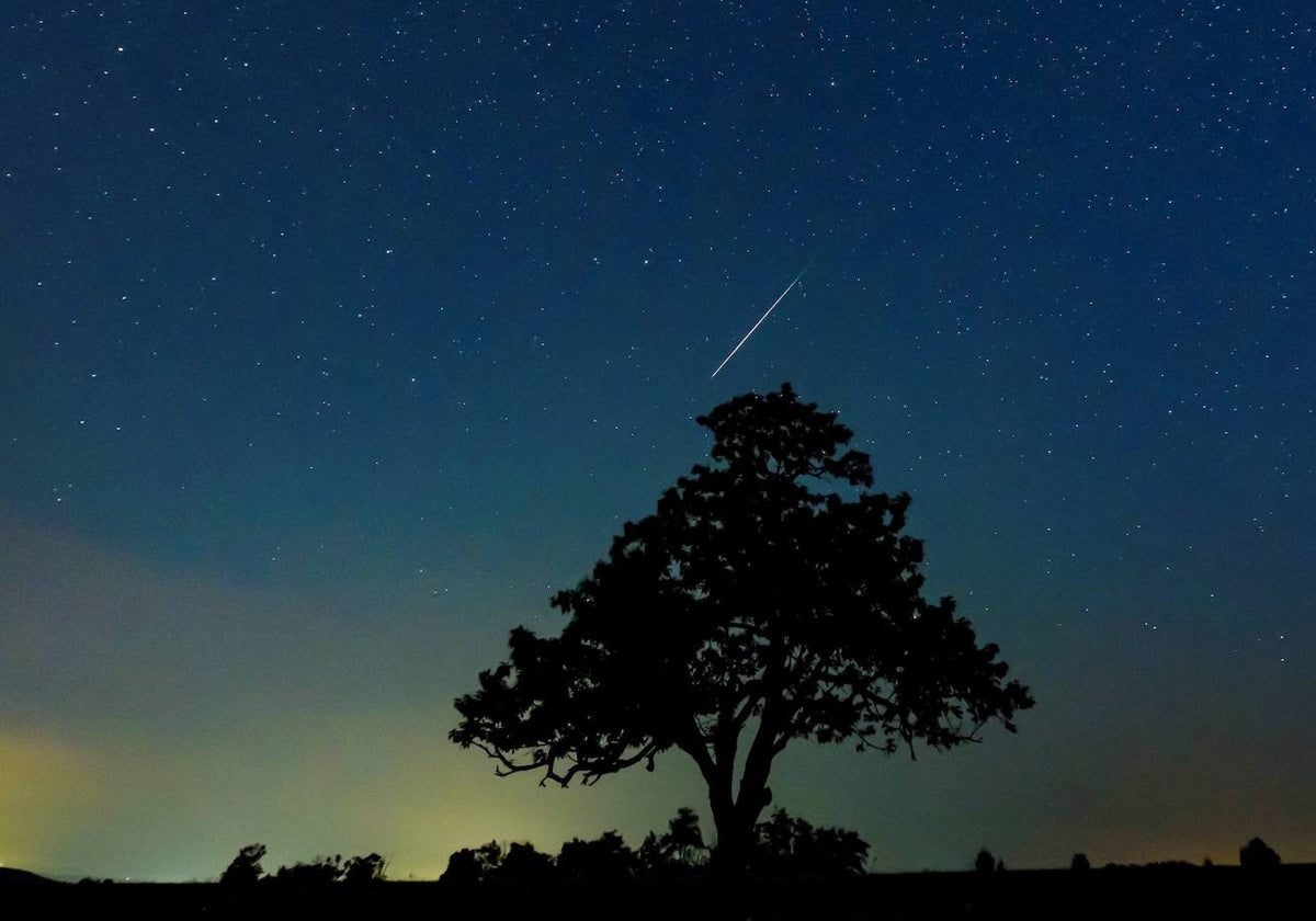 Para ver las Perseidas no se necesita ningún instrumento óptico