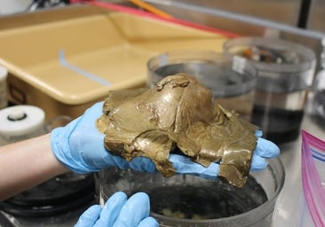 Hallado a 3.000 metros de profundidad: es biológico, pero los científicos no tienen ni idea de lo que podría ser