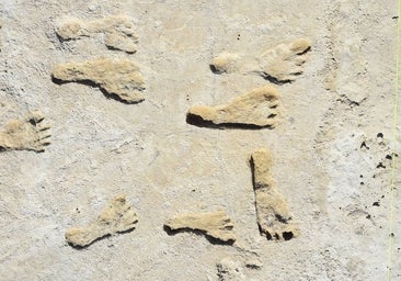 El paseo más antiguo en América confirma que los humanos ya caminaban por allí hace 23.000 años