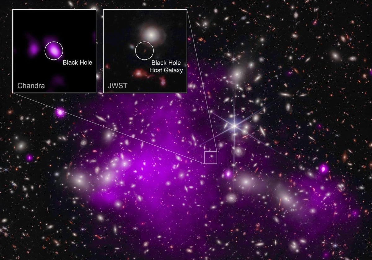 Los datos combinados de los telescopios espaciales James Webb y Chandra ayudaron a encontrar el agujero negro supermasivo más distante hasta ahora