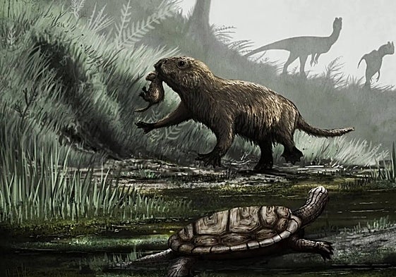 La culpa de que no vivamos 200 años es... de los dinosaurios