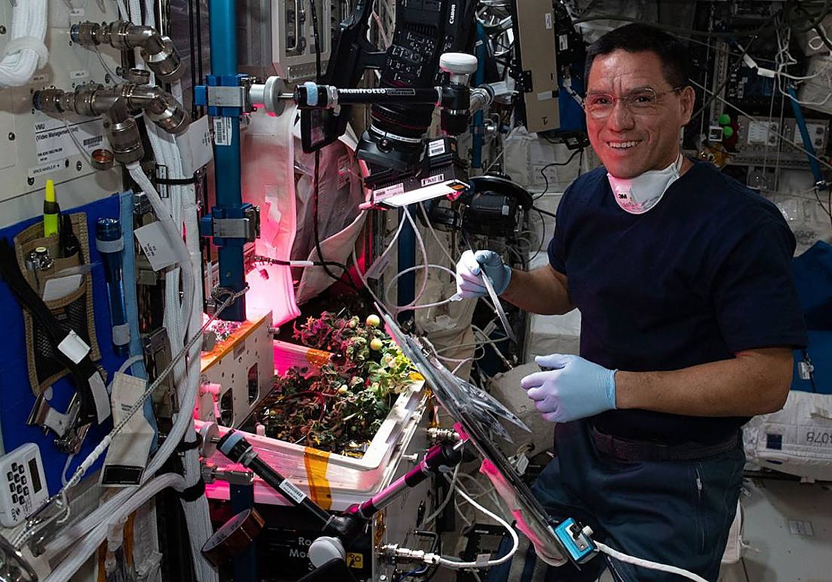 Frank Rubio (en la imagen) perdió dos tomates en la ISS hace ocho meses. Los frutos aparecieron, por fin, hace unos días