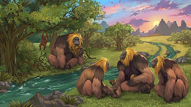 Por qué desapareció el Gigantopithecus, el auténtico King Kong