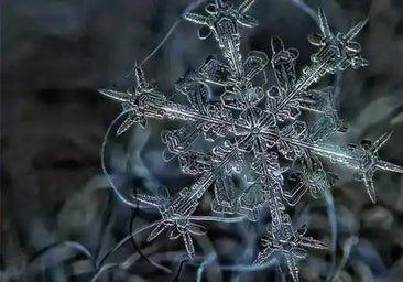 ¿Por qué no hay dos copos de nieve iguales?