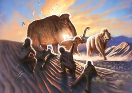 La historia de 'Elma', la mamut que viajó 1.000 km y murió al encontrarse con los primeros pobladores de América
