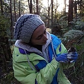 Quedarse sin dormir por tener sexo desenfrenado y después morir: la vida frenética del antequino