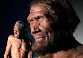 Sapiens y neandertales 'se vieron las caras' en el norte de Europa hace 45.000 años