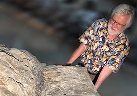 Un 'experimento fallido': hallan, completo, el fósil de un extraño árbol de hace 350 millones de años