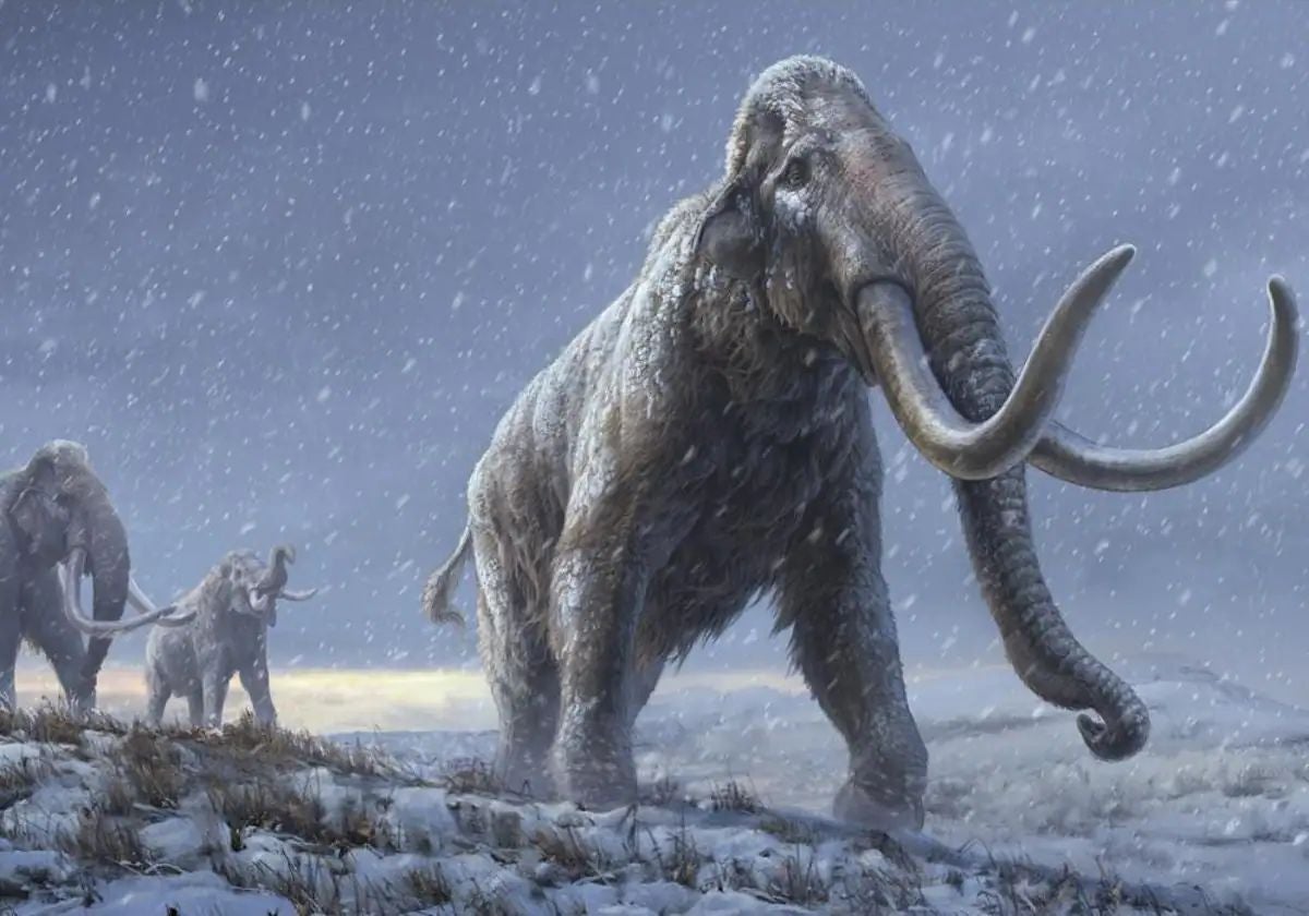 'Resucitar' al mamut: un paso más cerca, pero de otras cosas