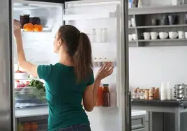 Cómo consigue tu frigorífico crear un 'microclima' frío en su interior