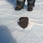 Meteorito de 7,6 kg recuperado en la Antártida en 2023 por investigadores de Bélgica