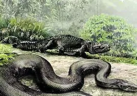 Impresión artística de la titanoboa, la hasta ahora considerada serpiente más grande que jamás ha existido