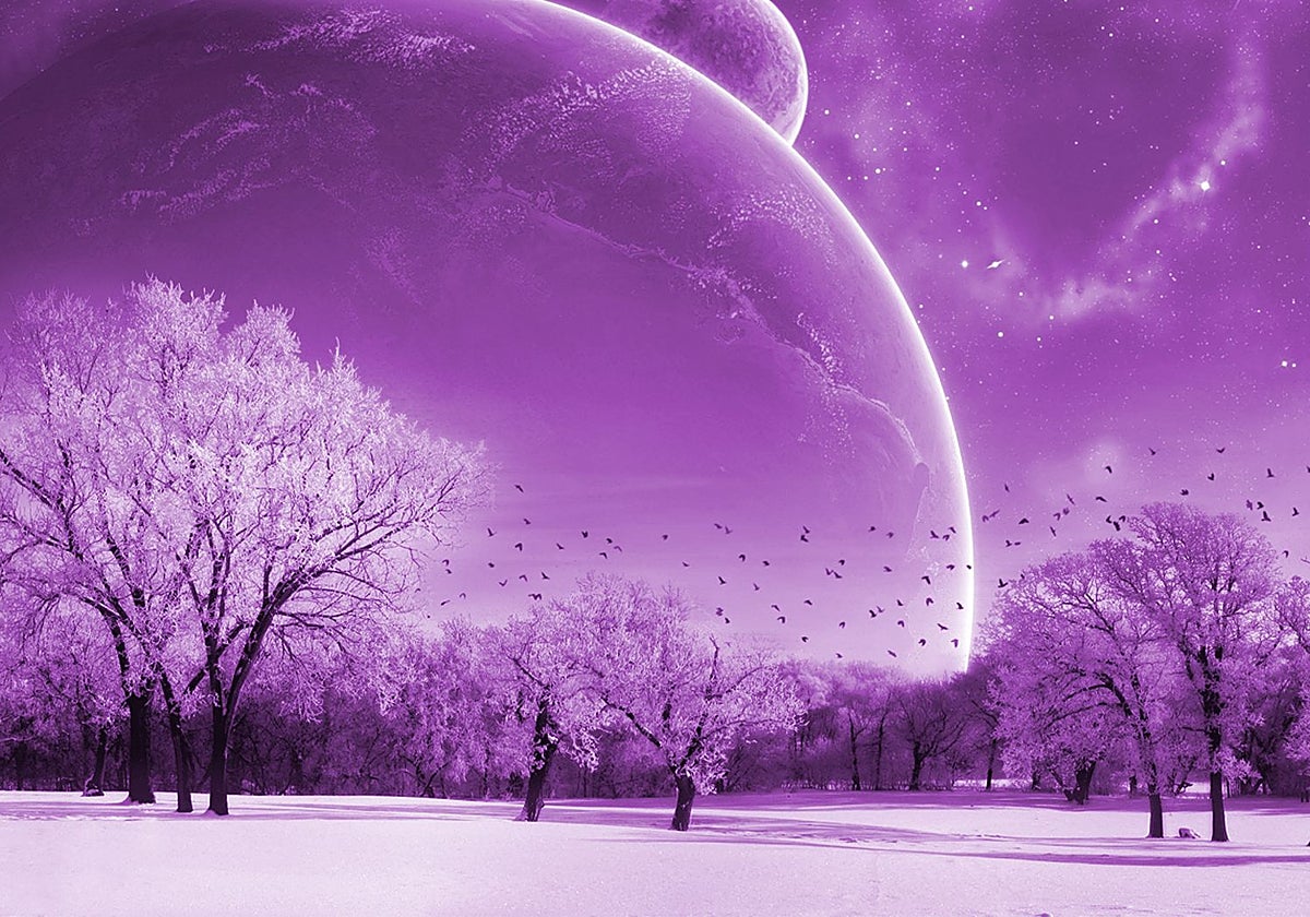 El púrpura podría ser el color preferido de la vida fuera de nuestro planeta