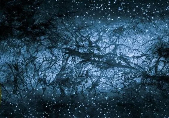 ¿Qué le pasaría a la Tierra si desapareciera la materia oscura del Universo?