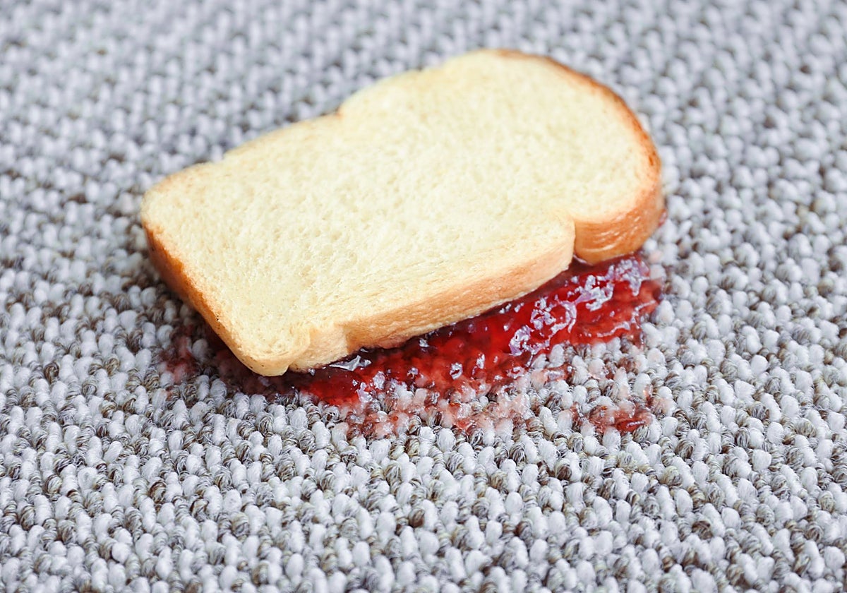 Una tostada en el suelo, por supuesto, con la cara de la mermelada para abajo
