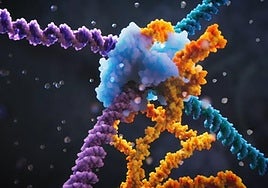 Paso de gigante en ingeniería genética: hallan el modo de 'programar' el ADN a voluntad