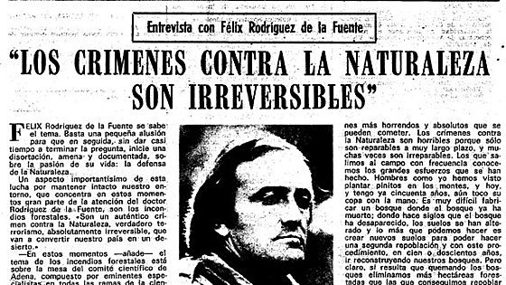 Félix Rodríguez de la Fuente y ABC: «Mis primeros pasos fueron con vosotros»