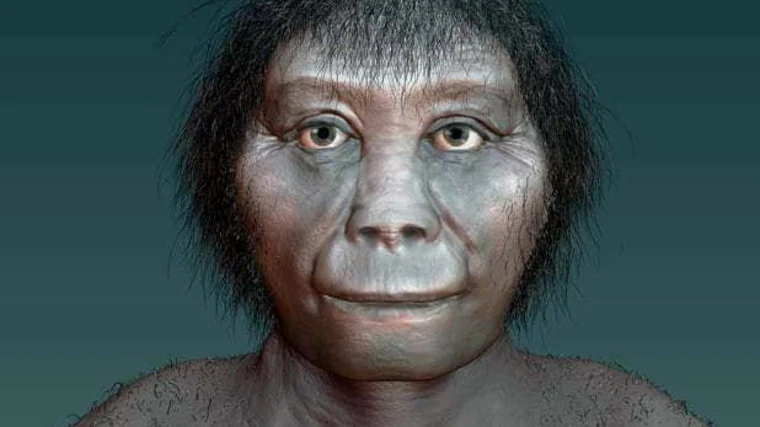 Reconstrucción del Homo floresiensis