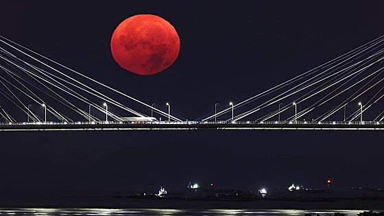 Luna del Esturión: cuándo ver, el origen de su nombre y por qué se conoce como superluna azul