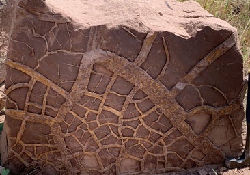 Así provocó 'El Niño' la mayor extinción masiva en la historia de la Tierra
